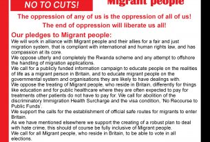 The text of the article in picture form